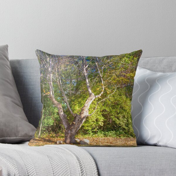 Item preview, Sodalis Nature Park Forked Tree designed and sold by Coltsfan3378.