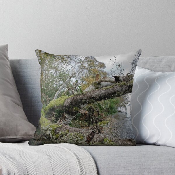 Item preview, Loch Ness Shoreside designed and sold by Chris Cardwell.