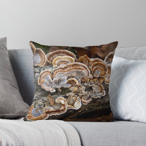 Item preview,  Carolina del Norte. designed and sold by mfortune.