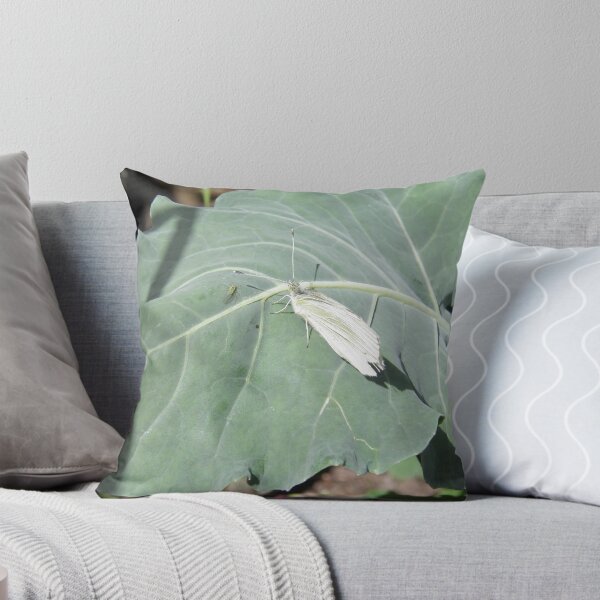 Item preview, Cabbage Butterfly designed and sold by pater54.