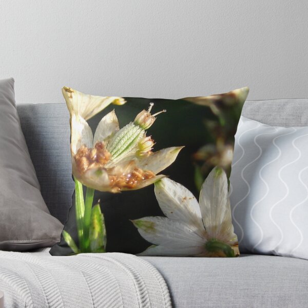 Item preview, last few flowers  designed and sold by millymuso.