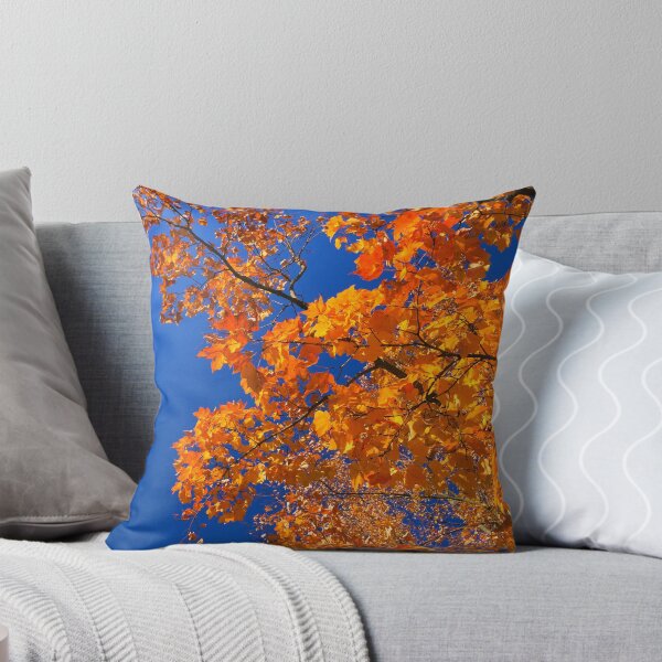 Item preview, The Changing Seasons - Rockville, MD designed and sold by Matthew Kocin.