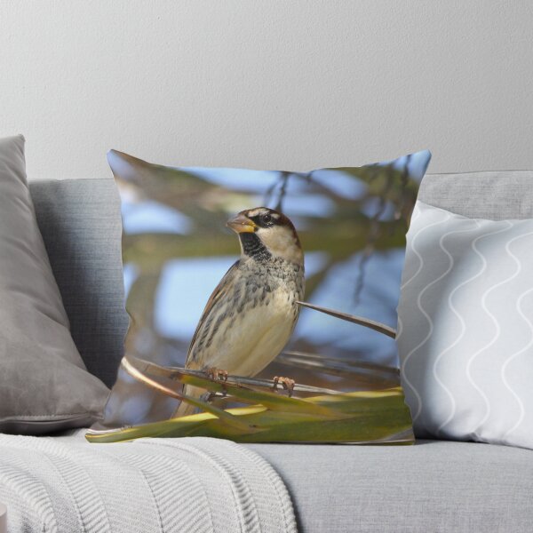 Item preview, Spanish Sparrow designed and sold by dilouise.