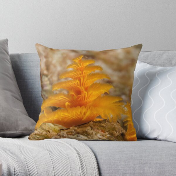 Christmas Tree Worm, Kimbe Bay, New Britain, Papua New Guinea. Throw Pillow