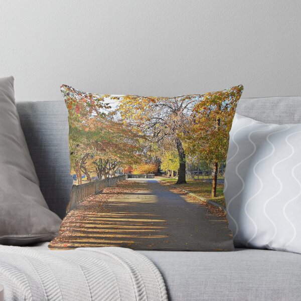 Aperçu de l'œuvre Fallen Leaves créée et vendue par pmarella.