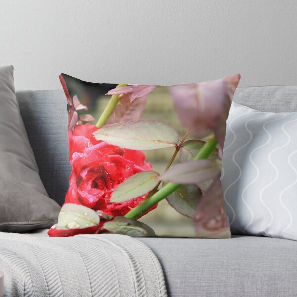 Rain Kissed Rose Throw Pillow