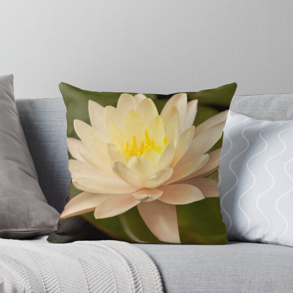 Item preview, Palest Pink Water Lily designed and sold by Wealie.