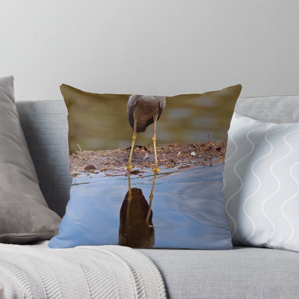 Item preview, White Faced Heron designed and sold by Richard  Windeyer.