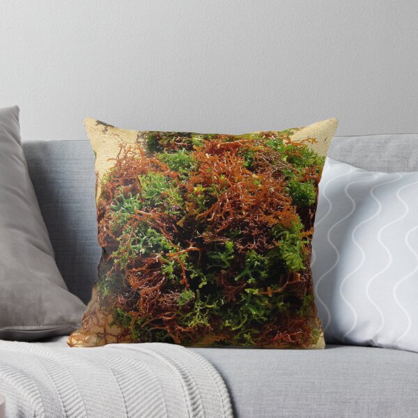 Item preview, fresh seaweed designed and sold by supergold.