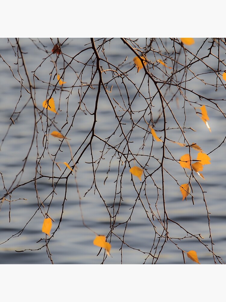 Golden Leaves by LynnWiles