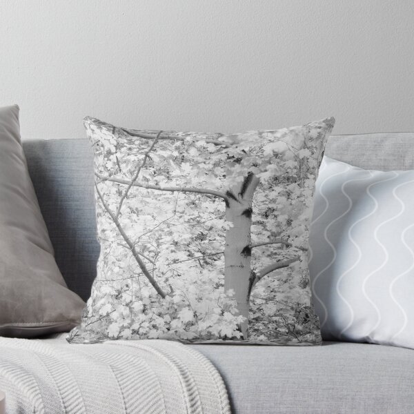 Item preview, exposed in B&W designed and sold by Paul Kavsak.