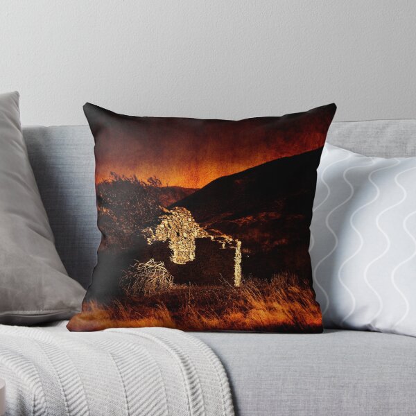 Three Walls Of Sky Throw Pillow