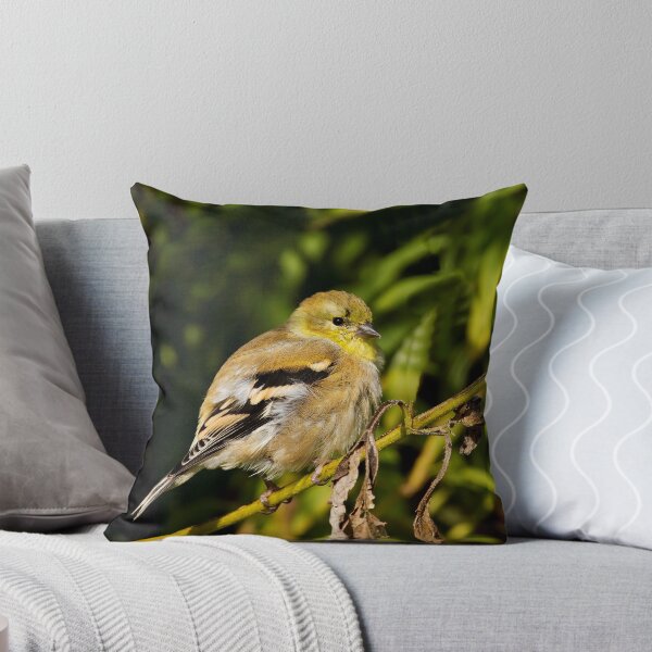 Aperçu de l'œuvre It's All Fluff - American Goldfinch créée et vendue par John Absher.