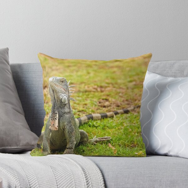Artikelvorschau, Iguana on Saint Marten Island entworfen und verkauft von Steve Borichevsky.