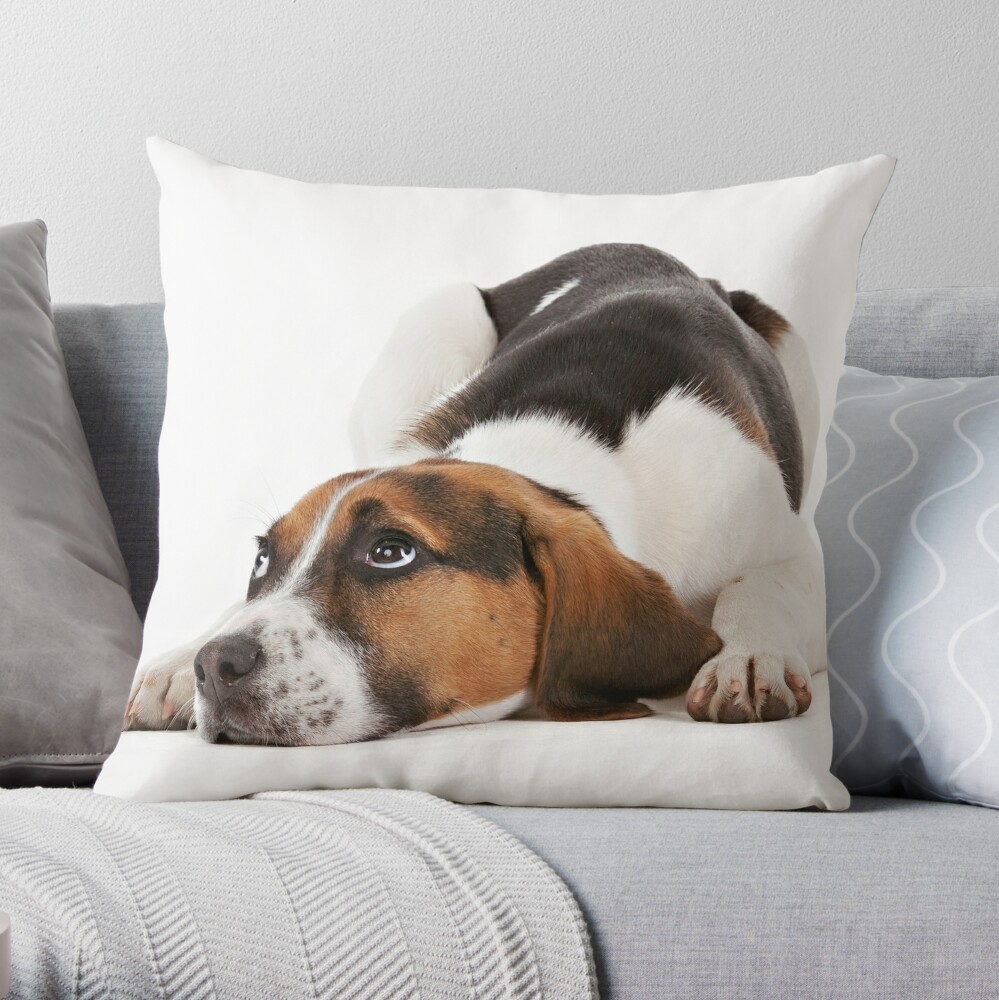 “Bailey” Throw Pillow