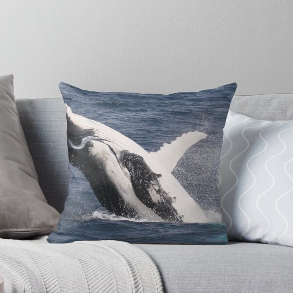 Item preview, Eye to Eye designed and sold by saltwatershots.