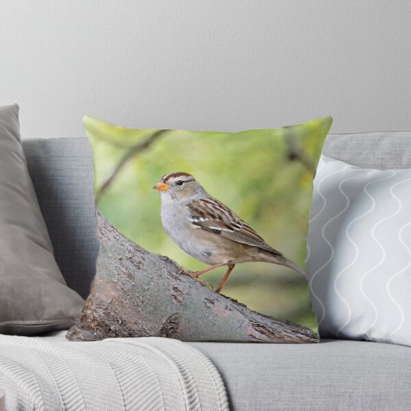 Item preview, Immature White-Crowned Sparrow designed and sold by Saija Lehtonen.