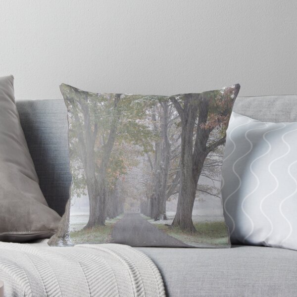 Item preview, Oak Allee designed and sold by mikepaulhamus.