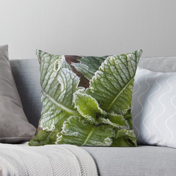 Item preview, Dandelion Frost designed and sold by Adam Bykowski.