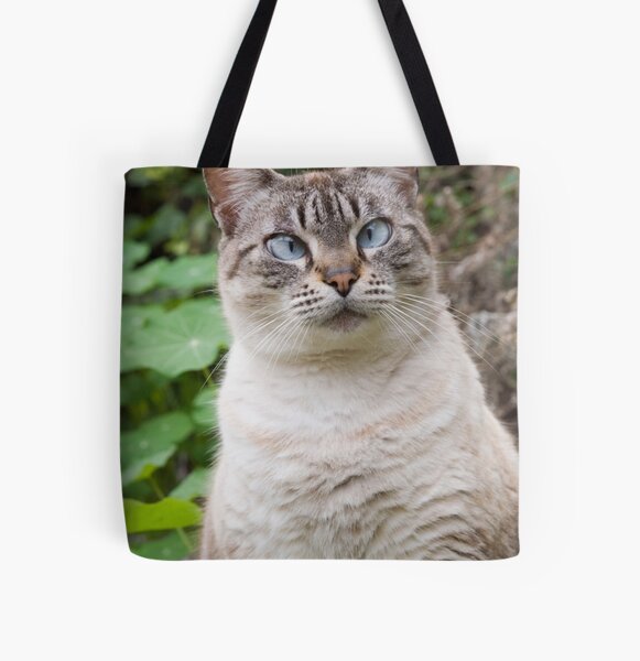 Item preview, Cross-eyed cat designed and sold by Robert Down.