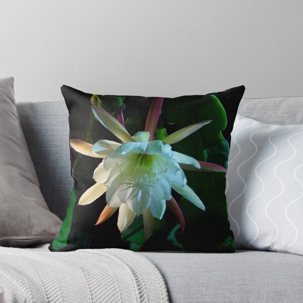 Artikelvorschau, Cactus Flower entworfen und verkauft von Paul  Francis.