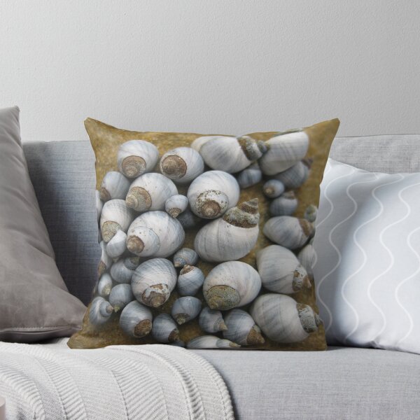 Item preview, Shells on Rocks  designed and sold by PeterJF.