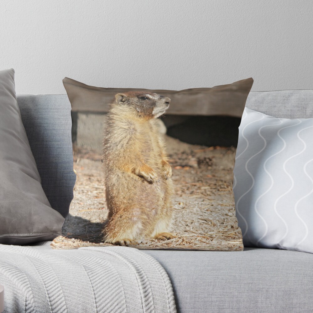 Looking cool Throw Pillow