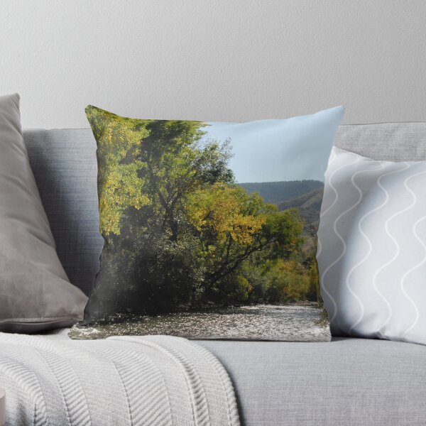 River Through Golden Throw Pillow