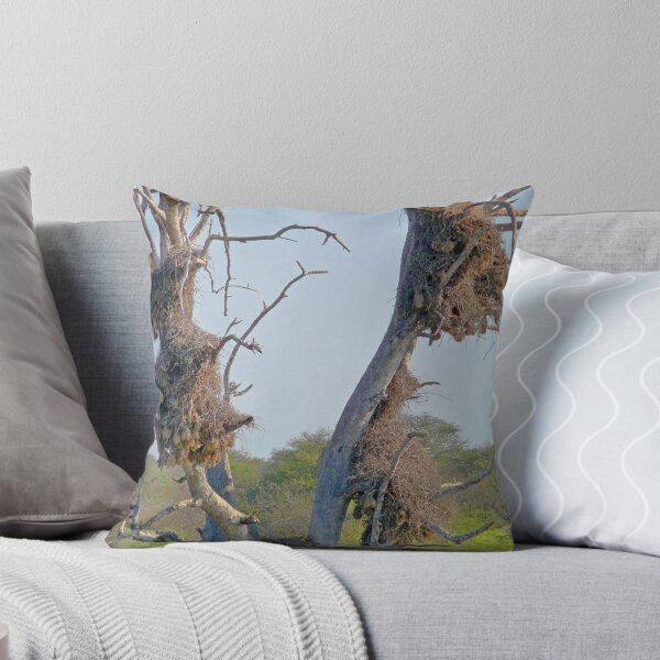Item preview, Buffalo Weaverbird nests designed and sold by Margaret Hyde.