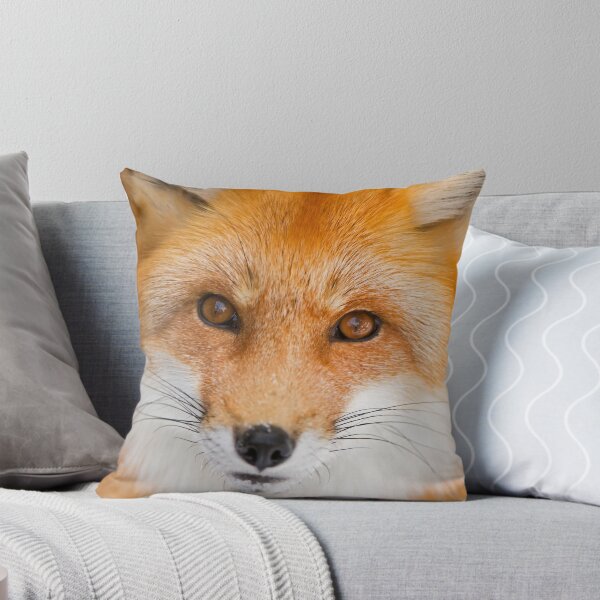 Aperçu de l'œuvre  Canada. Inutile de dire que c'est une image rapprochée d'un renard roux. Pris avec un appareil photo Nikon D3s et un objectif Nikon 200-400. créée et vendue par Daniel  Parent.