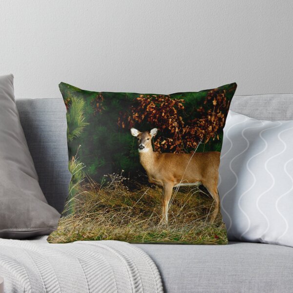 Aperçu de l'œuvre Beautiful Fall Doe créée et vendue par Thomasyoung.