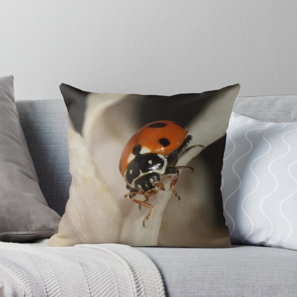 Item preview, Spotted Amber Ladybird - Hippodamia variegata designed and sold by Gabrielle  Lees.