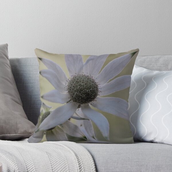 Item preview, Flannel Flower 4 designed and sold by julie anne  grattan.