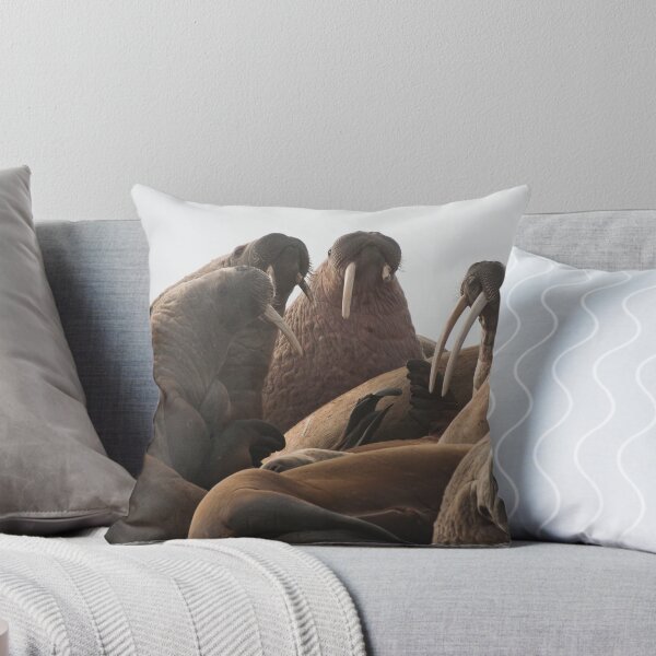 Item preview, Walrus (Odobenus rosmarus) designed and sold by Rosie Appleton.