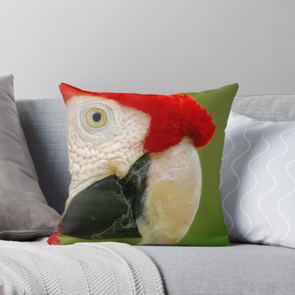 Item preview, Scarlett Macaw Profile designed and sold by Tamara Kenneally.