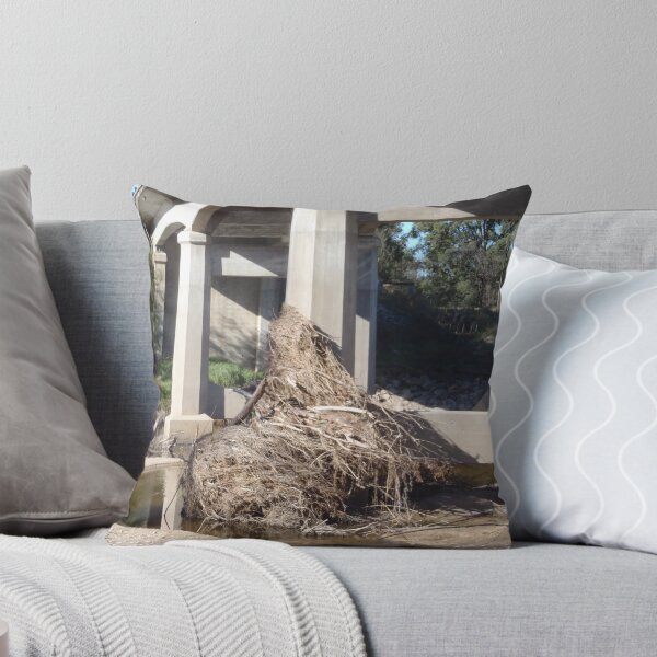 Item preview, Bemboka River, Bridge Near Bega designed and sold by Stethaki.