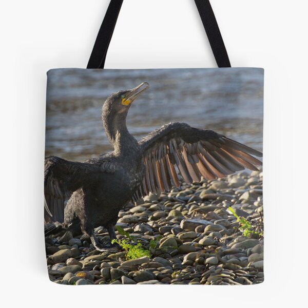 Item preview, Cormorant drying its wings designed and sold by wildlifephoto.