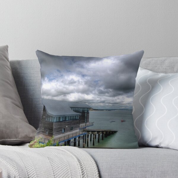 Artikelvorschau, Tenby Rettungsbootstation Pembrokeshire entworfen und verkauft von Steve Purnell Photography.