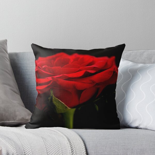 Aperçu de l'œuvre Red Rose créée et vendue par Steve Purnell Photography.