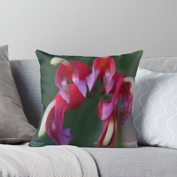 Item preview, Grevillea latifolia  designed and sold by andrachne.