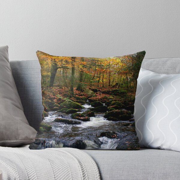 Item preview, Autumn - Kennel Vale. designed and sold by AndyReeve.