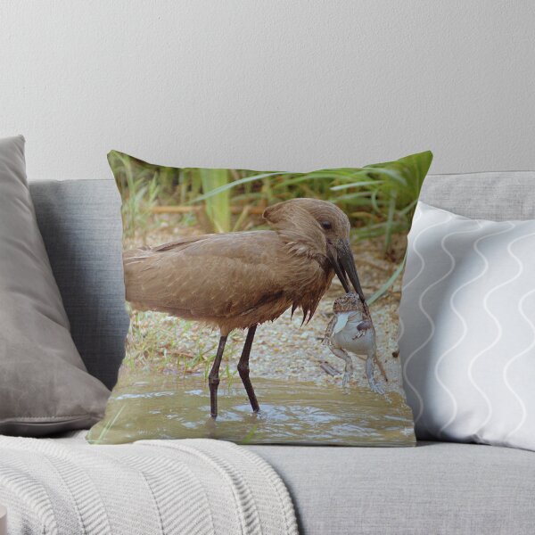 Item preview, Hamerkop with next meal! - Kruger National Park designed and sold by eyedocbrian.