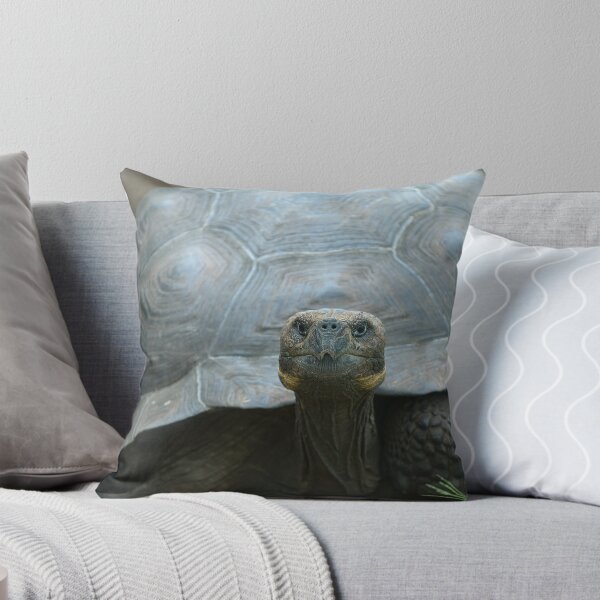 Item preview, Giant turtle, Galapagos islands, Ecuador designed and sold by javarman.