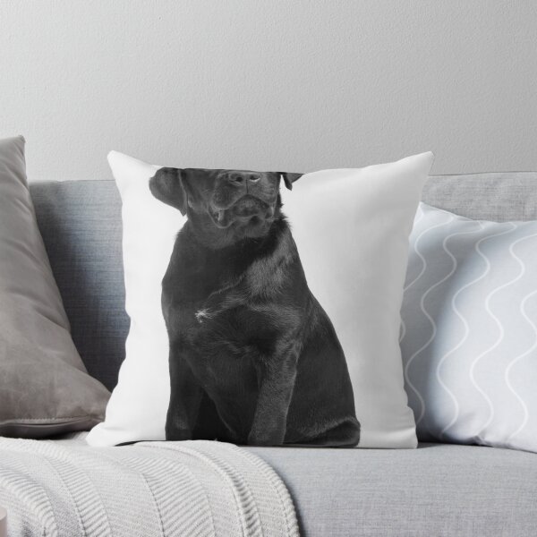 Item preview, Rollo designed and sold by Onethreetwo.