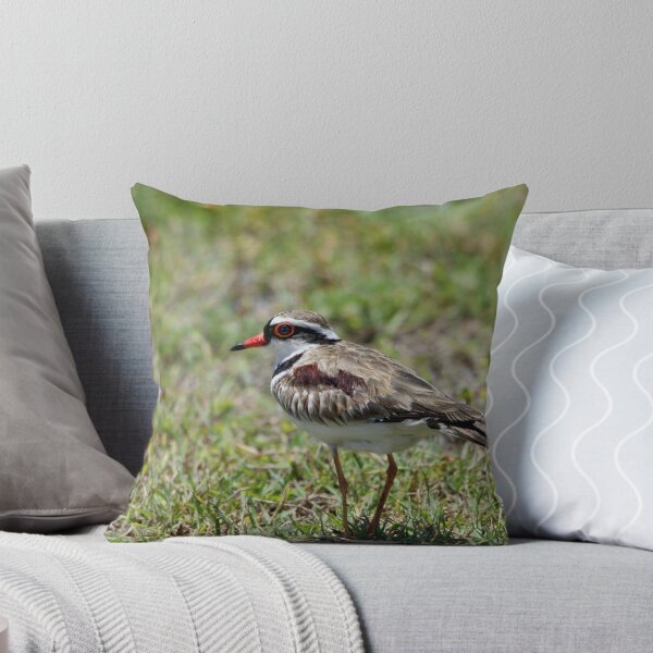 Item preview, Little Wader designed and sold by byronbackyard.