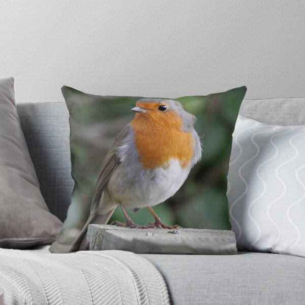 Item preview, Robin designed and sold by dilouise.