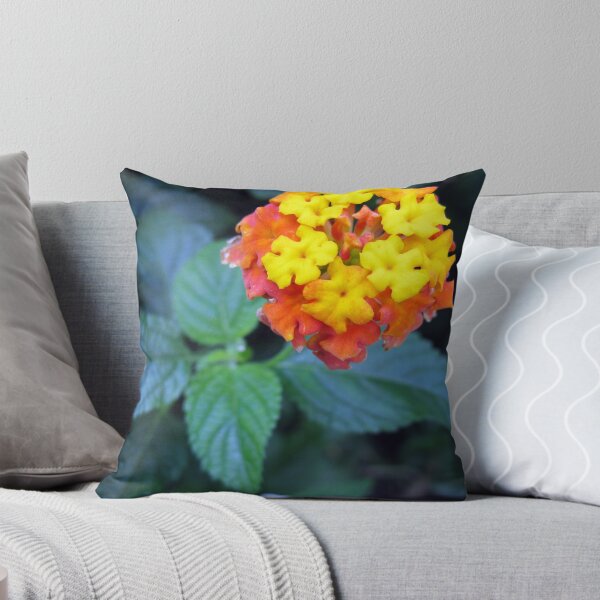 Item preview, brooklyn flower designed and sold by Jo Morcom.