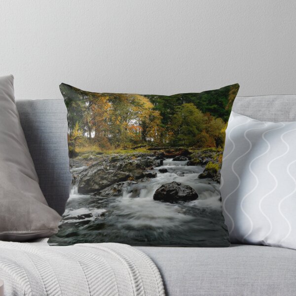 Aperçu de l'œuvre Calapooia Falls créée et vendue par Charles & Patricia   Harkins ~ Picture Oregon.