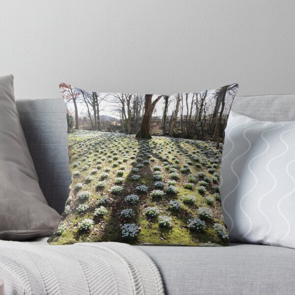 Item preview, Snowdrops at Lamplugh 2 designed and sold by Jan Fialkowski.