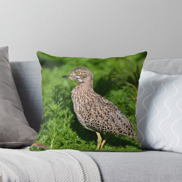 Item preview, Spotted Thick-knee (Gewone Dikkop) designed and sold by DeoVolente.